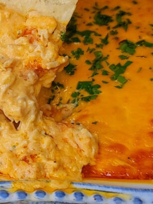 Buffalo Chicken Dip Recipe