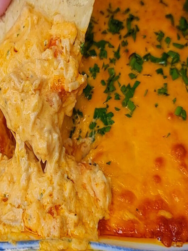 Buffalo Chicken Dip Recipe